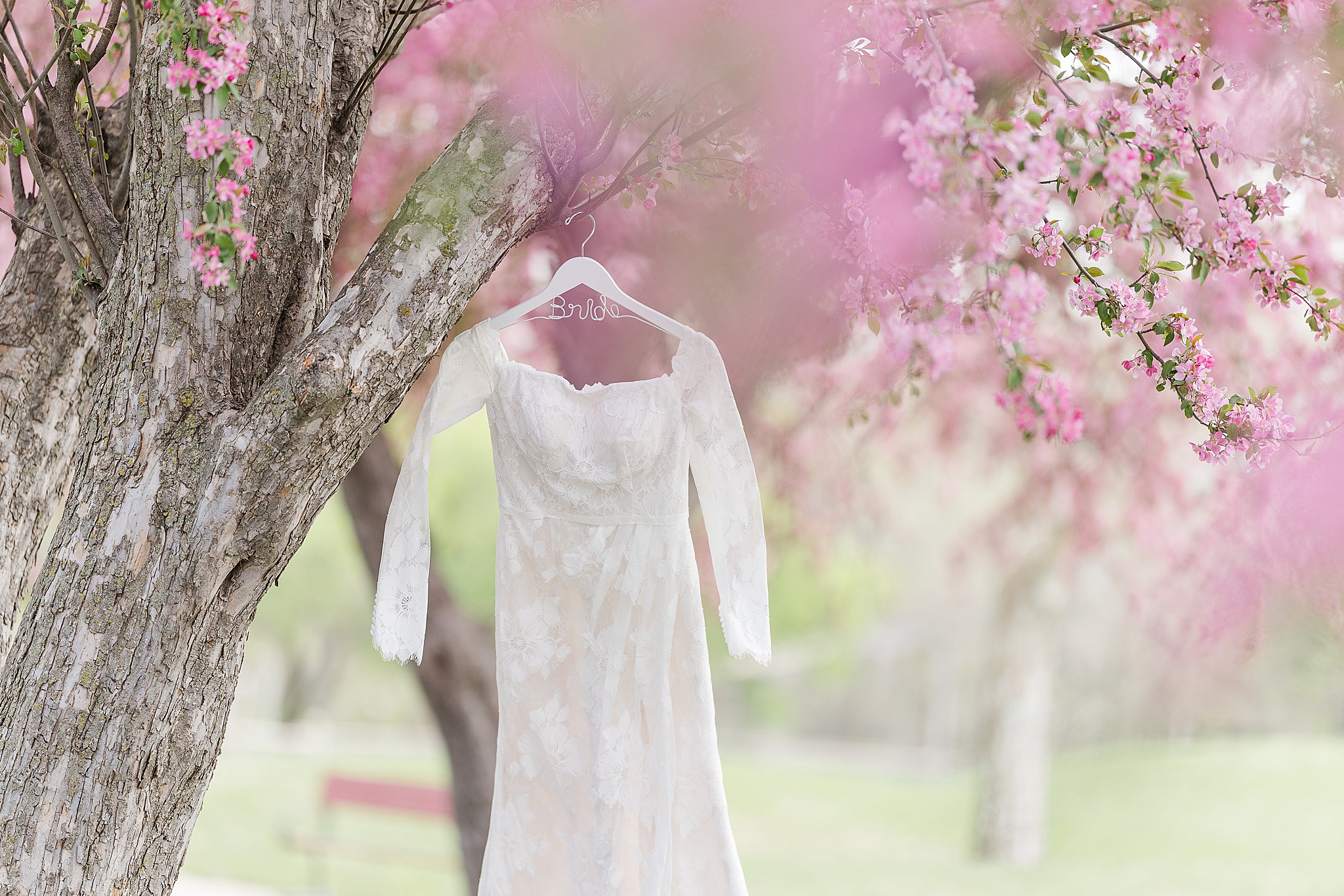 Spring Wedding
